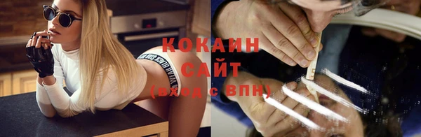 кокс Тайга