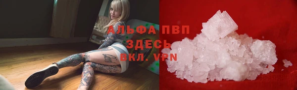 трава Тавда