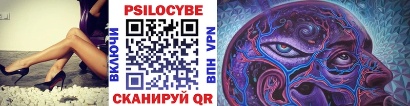 купить  цена  Черемхово  Галлюциногенные грибы Psilocybe 