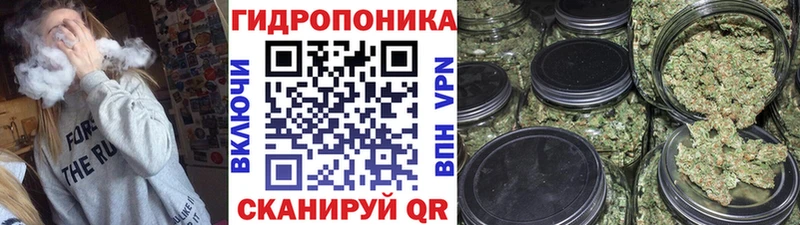 Бошки марихуана гибрид  Черемхово 